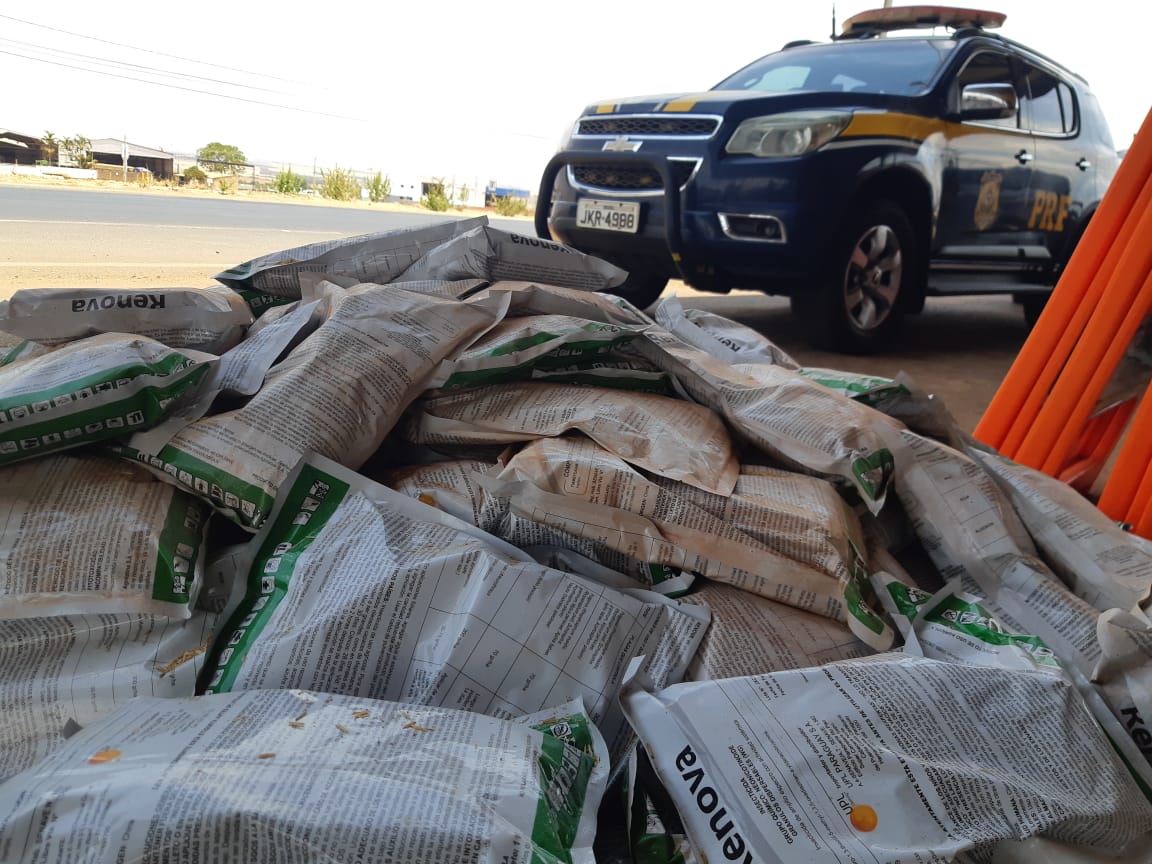 Jornal Somos PRF prende homem transportando agrotóxico ilegal em