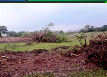 Polícia Ambiental descobre invasão em Área de Reserva de Rio Verde