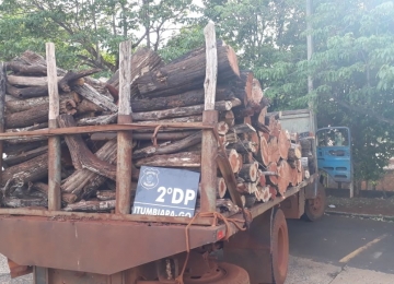 Polícia Civil autua duas pessoas por retirada ilegal de madeira de reserva ambiental