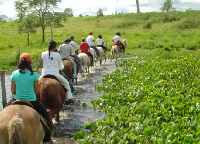 Jornal Somos - TURISMO RURAL: UMA OPORTUNIDADE PARA PRODUTORES RURAIS E ...