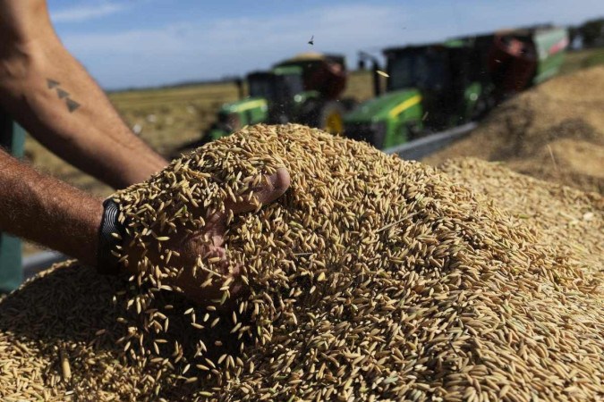 Após suspeitas de irregularidades, Governo Lula suspende leilão de arroz importado