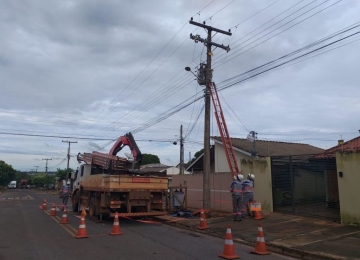 Mutirão de manutenção realiza podas de árvores e troca de lâmpadas na rede elétrica de Rio Verde