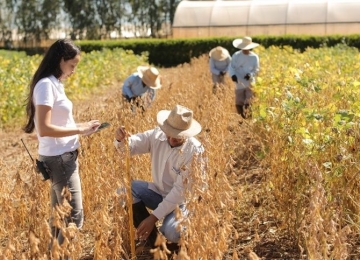 Agropecuária é o setor com maior saldo de empregos em junho