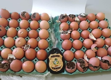 Servidores impedem droga escondida em ovos de entrar em unidade prisional 