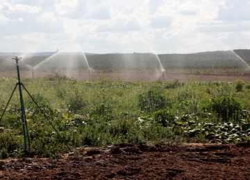 CNA, MDR e MAPA promovem evento sobre irrigação e alimentos