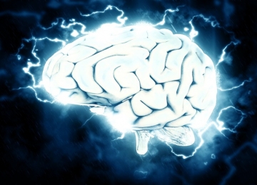 Poder do cérebro para aceitar opiniões contrárias é estudado por cientistas