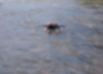 Pescador encontra cadáver boiando em rio próximo à Aparecida do Rio Doce