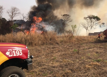 Rio Verde registra 14 focos de incêndio durante final de semana, segundo INPE