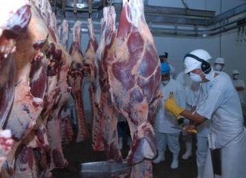 IBGE indica queda no abate de bovinos de 20% nos primeiros três meses de 2020 em Goiás