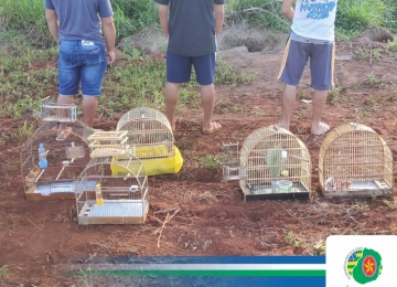 Três homens foram presos por captura de animais silvestres em Rio Verde