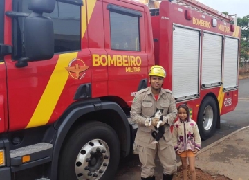 Bombeiros resgatam vários animais domésticos e silvestres em Rio Verde 