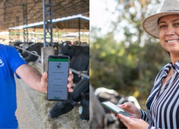 Sistema Faeg/Senar/Ifag lança aplicativo Leite Bem para melhorar resultados na pecuária leiteira