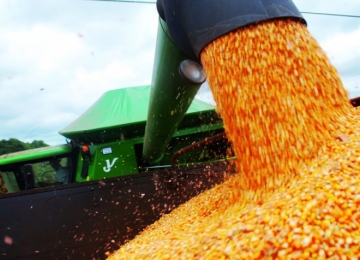 Exportações do Agro avançam 24% na 1ª semana de junho/2020