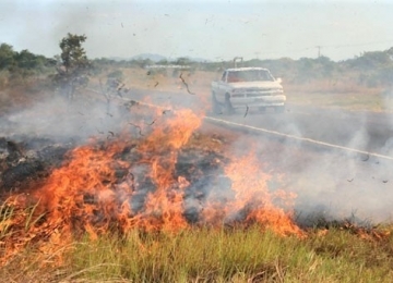Alerta em Goiás com aumento de queimadas em 2020