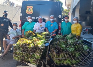 CIS doa 40 caixas de hortaliças ao ABAS em Rio Verde