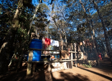 Queima do Alho: Celebração da tradição campeira e sabores deliciosos agitam Rio Verde neste mês