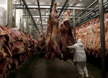 Pecuária de Goiás entra em alerta após tarifa de 55% anunciada pela China