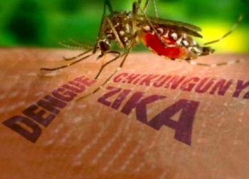 Números de casos de dengue caem mais 40% em Goiás, mas coordenador estadual alerta para perigo de epidemia