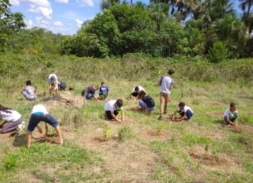 Alunos realizam o plantio de 1000 mudas de árvores nativas em Rio Verde
