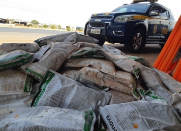 PRF prende homem transportando agrotóxico ilegal em sacos de sementes em Rio Verde