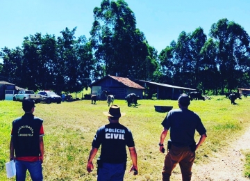 Polícia Civil encontra parte de gado roubado em fazendas de Rio Verde e Jataí