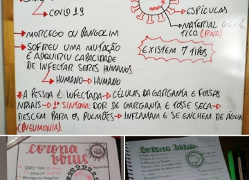 Escolas estaduais de Goiás aderem a aulas a distância