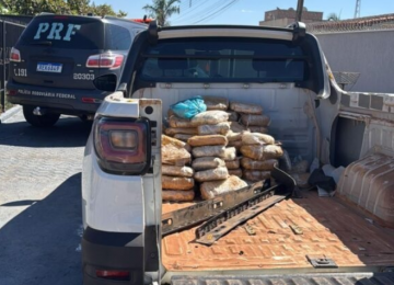 Ação conjunta apreende 90 kg de supermaconha na BR-060 em Indiara