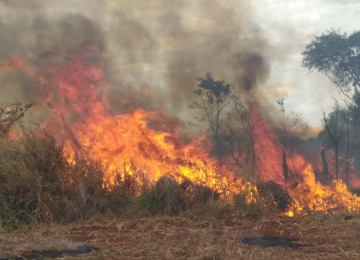 Região sul tem o maior número de focos de incêndio em Goiás