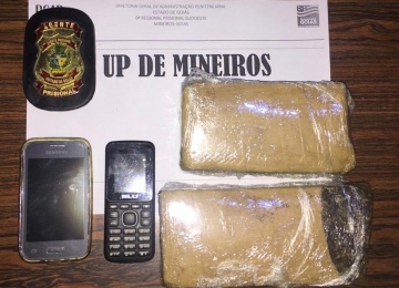 Agentes Penitenciários interceptam entrada de drogas em Unidade Prisional