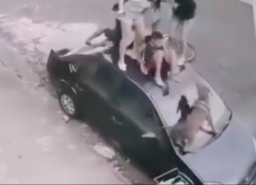 Adolescentes sobem em carro para escapar de ataque de pitbull, em SP