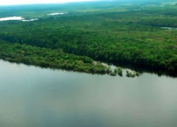 Desmatamento na Amazônia Legal tem redução no mês de janeiro 