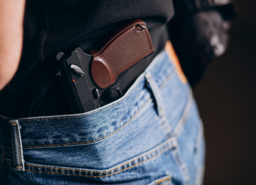 A LIBERDADE ARMADA  UMA ANÁLISE CRÍTICA DOS PROJETOS DE LEI EM TRAMITAÇÃO NA CÂMARA FEDERAL