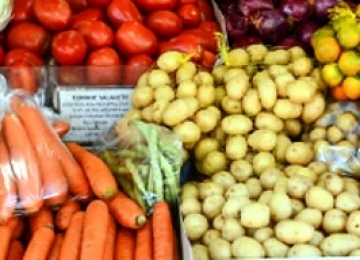 Várias hortaliças apresentam redução de preço em último boletim da Conab, segundo Ifag