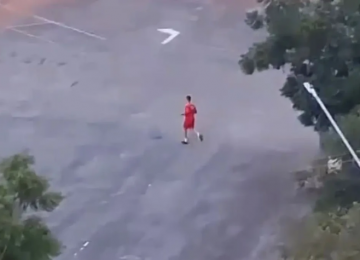 Bombeiro mata cachorro a tiros e caso gera repercussão em Goiânia; Bombeiros emitem nota