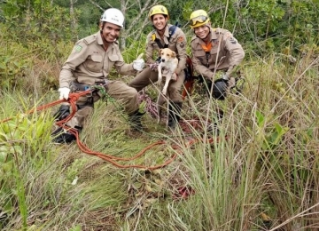 Bombeiros resgatam duas cadelas em ribanceira perto de cachoeira no Sudoeste goiano
