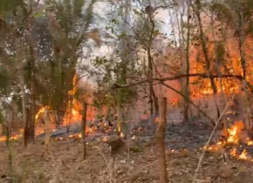 Bombeiros seguem em ação contra incêndio que já atingiu 27 mil hectares na Chapada dos Veadeiros