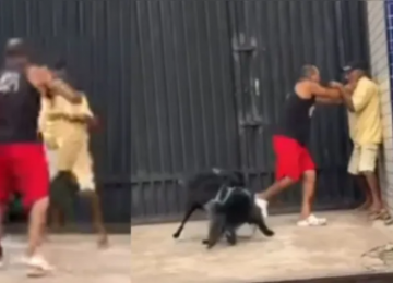 Briga entre tutores e animais volta a viralizar nas redes sociais após cão cheirar traseiro de outro