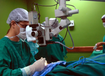 Câncer de intestino, que vitimou Preta Gil, é o 3º mais comum no país