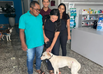 Final feliz: cachorro Herói ganha novo lar após resgate e doação da Polícia Civil em Rio Verde