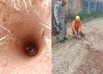 Cão é resgatado de cisterna com 10 metros de profundidade no Portal do Sol, em  Rio Verde