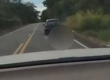 Cachorro é arrastado por carro na GO-154 e caso gera revolta; PC investiga possível crime
