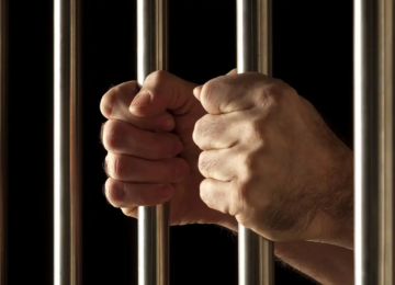 INDULTO DE NATAL: CLEMÊNCIA OU CÁLCULO POLÍTICO?