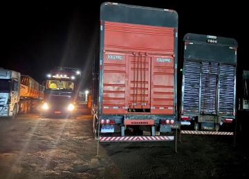 Rio Verde autua transporte de 273 bovinos com notas fiscais inidôneas em BR