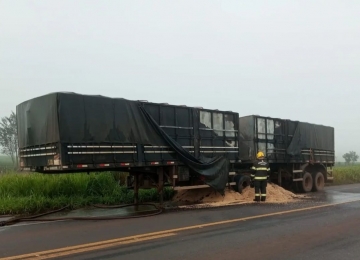 Caminhão carregado de soja pega fogo na BR-452 no Sudoeste goiano 