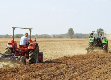 Agropecuária impulsiona geração de empregos formais em Goiás no primeiro semestre de 2025