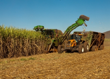 Goiás é o segundo produtor nacional de cana-de-açúcar