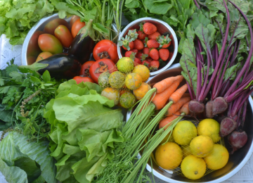 Pesquisa mostra redução de preços em algumas frutas e verduras 