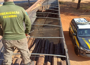 Carga de madeira nobre vinda do Pará é apreendida em Goiás