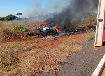 Carro colide em poste e causa incêndio em mata no Campos Elísios, em Rio Verde