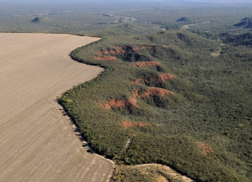 UFG lança portal de monitoramento do desmatamento no Cerrado